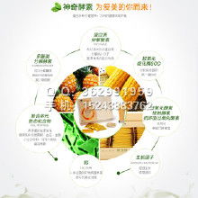 健康保健食品價(jià)格策略與批發(fā)渠道探析